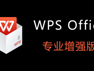 【史上最强版本】WPS Office 2023 专业增强版 v12.8.2.19823 永久激活版【339.4M】